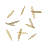 Brown Rice