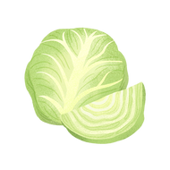 Cabbage