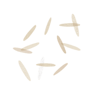 White Rice